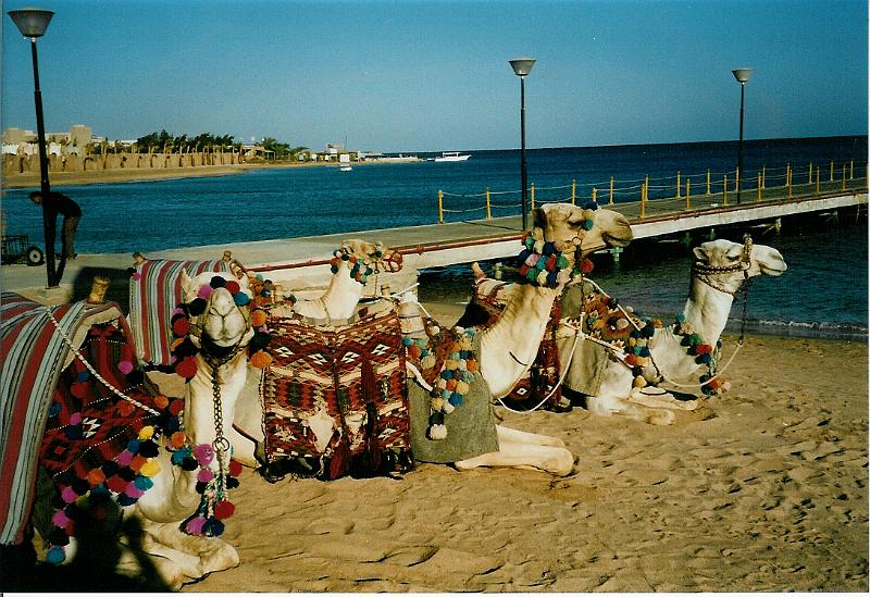 Egypte 20030029.jpg